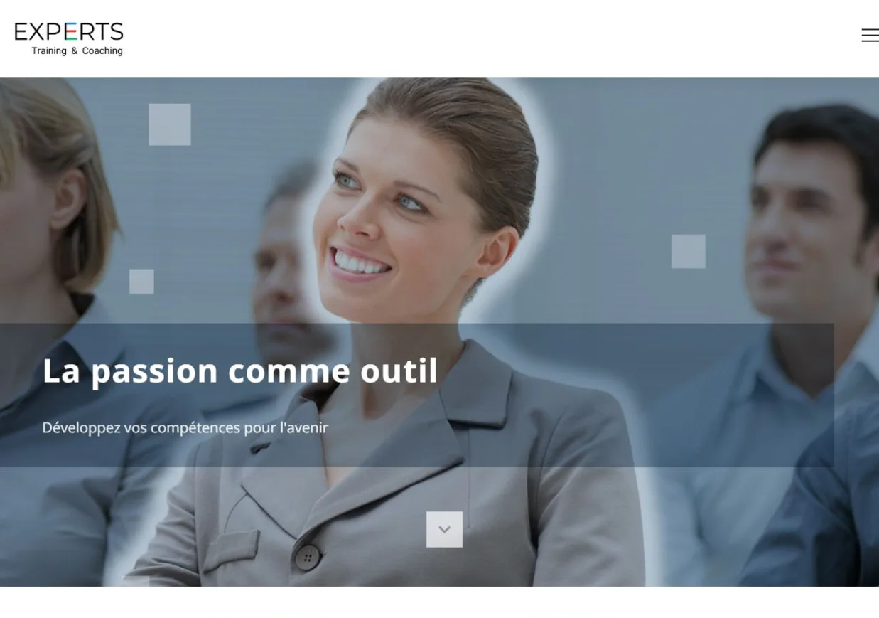 Aperçu du site Experts Training & Coaching